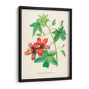 Malva de risco vintage | Cuadro decorativo de Canvas Lab