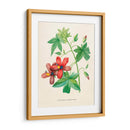 Malva de risco vintage | Cuadro decorativo de Canvas Lab