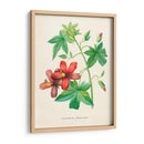 Malva de risco vintage | Cuadro decorativo de Canvas Lab