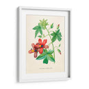 Malva de risco vintage | Cuadro decorativo de Canvas Lab