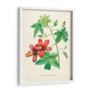 Malva de risco vintage | Cuadro decorativo de Canvas Lab