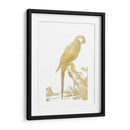 Parrot De Lámina De Oro I - Edwards | Cuadro decorativo de Canvas Lab
