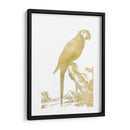 Parrot De Lámina De Oro I - Edwards | Cuadro decorativo de Canvas Lab