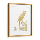 Parrot De Lámina De Oro I - Edwards | Cuadro decorativo de Canvas Lab