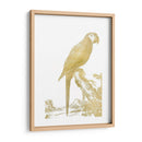 Parrot De Lámina De Oro I - Edwards | Cuadro decorativo de Canvas Lab