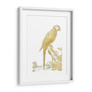 Parrot De Lámina De Oro I - Edwards | Cuadro decorativo de Canvas Lab