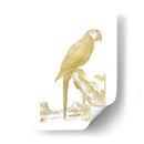 Parrot De Lámina De Oro I - Edwards | Cuadro decorativo de Canvas Lab