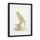 Parrot De Lámina De Oro Ii - Edwards | Cuadro decorativo de Canvas Lab