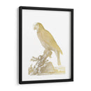 Parrot De Lámina De Oro Ii - Edwards | Cuadro decorativo de Canvas Lab