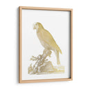 Parrot De Lámina De Oro Ii - Edwards | Cuadro decorativo de Canvas Lab