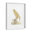 Parrot De Lámina De Oro Ii - Edwards | Cuadro decorativo de Canvas Lab
