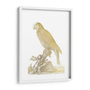 Parrot De Lámina De Oro Ii - Edwards | Cuadro decorativo de Canvas Lab