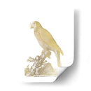 Parrot De Lámina De Oro Ii - Edwards | Cuadro decorativo de Canvas Lab