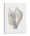 Cáscara De Lámina De Plata Iii Con Color De Mano. - Vision Studio | Cuadro decorativo de Canvas Lab