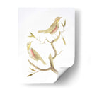 Pájaros De Lámina De Oro I Con Color De Mano - Nozeman | Cuadro decorativo de Canvas Lab