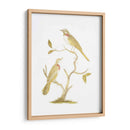 Pájaros De Lámina Dorada Ii Con Color De Mano. - Nozeman | Cuadro decorativo de Canvas Lab