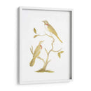 Pájaros De Lámina Dorada Ii Con Color De Mano. - Nozeman | Cuadro decorativo de Canvas Lab