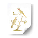 Pájaros De Lámina Dorada Ii Con Color De Mano. - Nozeman | Cuadro decorativo de Canvas Lab