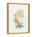 Papel De Oro Chintz I Con Color De Mano - Vision Studio | Cuadro decorativo de Canvas Lab