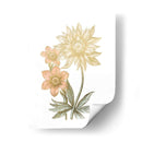 Papel De Oro Chintz I Con Color De Mano - Vision Studio | Cuadro decorativo de Canvas Lab