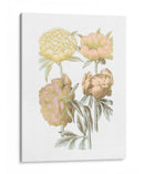 Hoja De Oro Chintz Ii Con Color De Mano - Vision Studio | Cuadro decorativo de Canvas Lab