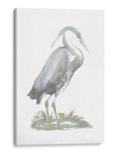 Heron De Lámina De Plata Con Color De Mano - John Selby | Cuadro decorativo de Canvas Lab