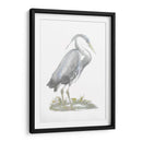 Heron De Lámina De Plata Con Color De Mano - John Selby | Cuadro decorativo de Canvas Lab