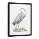 Heron De Lámina De Plata Con Color De Mano - John Selby | Cuadro decorativo de Canvas Lab