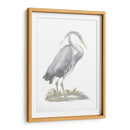 Heron De Lámina De Plata Con Color De Mano - John Selby | Cuadro decorativo de Canvas Lab