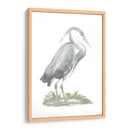 Heron De Lámina De Plata Con Color De Mano - John Selby | Cuadro decorativo de Canvas Lab
