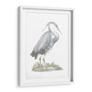 Heron De Lámina De Plata Con Color De Mano - John Selby | Cuadro decorativo de Canvas Lab