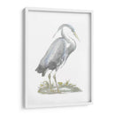 Heron De Lámina De Plata Con Color De Mano - John Selby | Cuadro decorativo de Canvas Lab