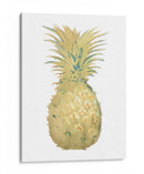 Piña De Lámina De Oro I Con Color De Mano - Vision Studio | Cuadro decorativo de Canvas Lab