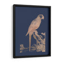 Parrot De Lámina De Oro Rosa En Azul Imperial - Edwards | Cuadro decorativo de Canvas Lab