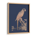Parrot De Lámina De Oro Rosa En Azul Imperial - Edwards | Cuadro decorativo de Canvas Lab