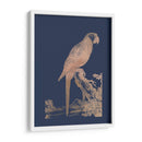 Parrot De Lámina De Oro Rosa En Azul Imperial - Edwards | Cuadro decorativo de Canvas Lab