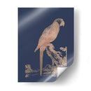 Parrot De Lámina De Oro Rosa En Azul Imperial - Edwards | Cuadro decorativo de Canvas Lab