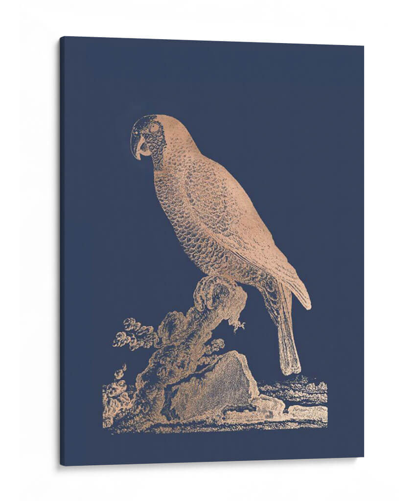 Parrot De Lámina De Oro Rosa Ii En Azul Imperial - Edwards | Cuadro decorativo de Canvas Lab