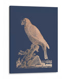 Parrot De Lámina De Oro Rosa Ii En Azul Imperial - Edwards | Cuadro decorativo de Canvas Lab