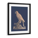 Parrot De Lámina De Oro Rosa Ii En Azul Imperial - Edwards | Cuadro decorativo de Canvas Lab