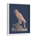 Parrot De Lámina De Oro Rosa Ii En Azul Imperial - Edwards | Cuadro decorativo de Canvas Lab