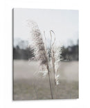 Pampas Etéreas I - Jason Johnson | Cuadro decorativo de Canvas Lab