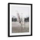 Pampas Etéreas I - Jason Johnson | Cuadro decorativo de Canvas Lab