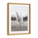 Pampas Etéreas I - Jason Johnson | Cuadro decorativo de Canvas Lab