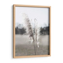 Pampas Etéreas I - Jason Johnson | Cuadro decorativo de Canvas Lab