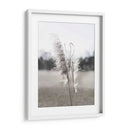 Pampas Etéreas I - Jason Johnson | Cuadro decorativo de Canvas Lab