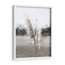 Pampas Etéreas I - Jason Johnson | Cuadro decorativo de Canvas Lab