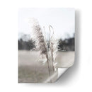 Pampas Etéreas I - Jason Johnson | Cuadro decorativo de Canvas Lab