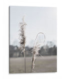 Pampas Etéreas Ii - Jason Johnson | Cuadro decorativo de Canvas Lab