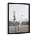 Pampas Etéreas Ii - Jason Johnson | Cuadro decorativo de Canvas Lab